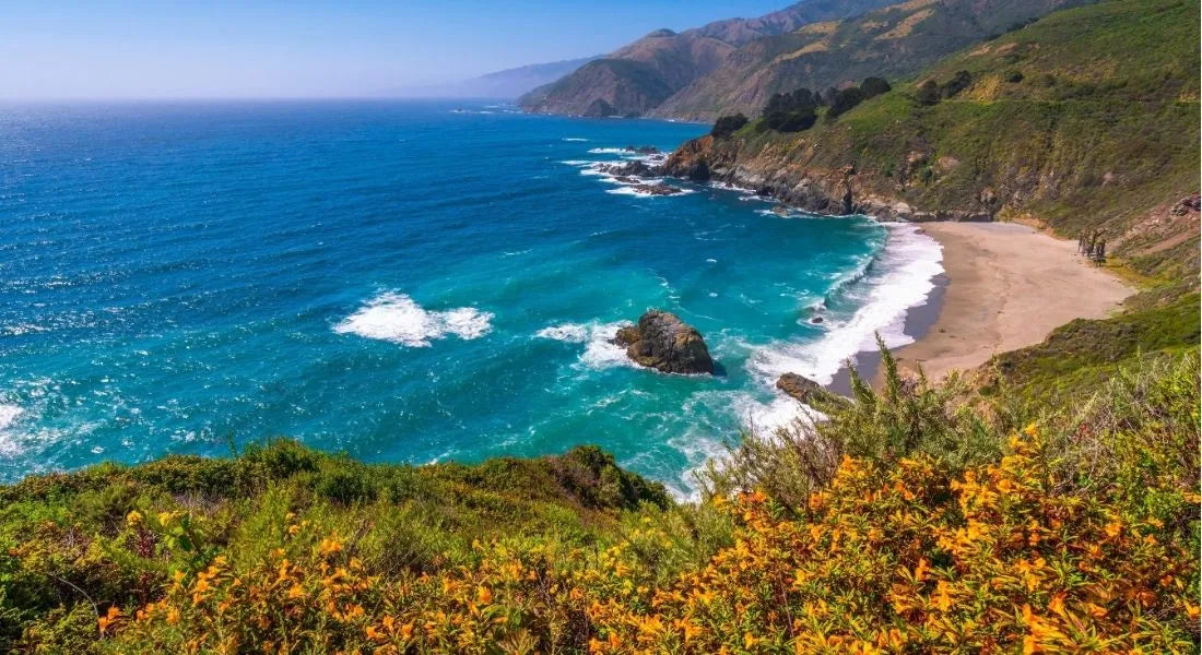 Photography Tour of Big Sur